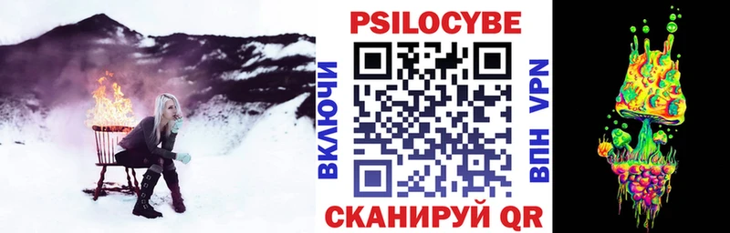 Псилоцибиновые грибы Psilocybine cubensis  Аргун 