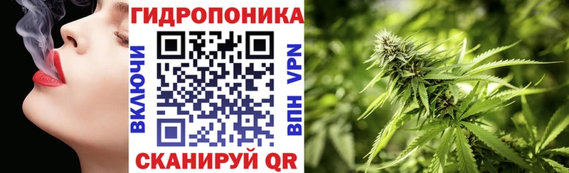 Бошки Шишки AK-47  Аргун 